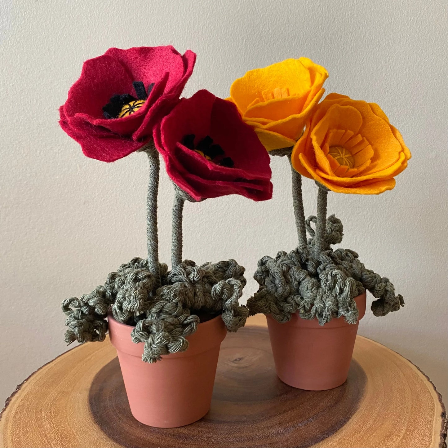 FBK-37 Yellow Poppy