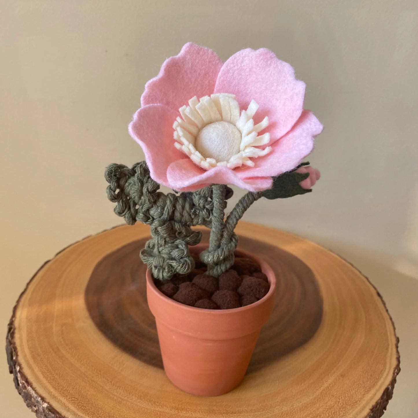 FBK-34 Wild Rose