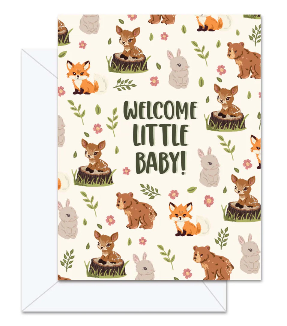 JD-0854- Welcome Little Baby Cards
