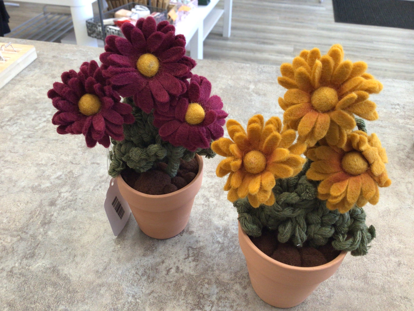 FBK-40 Triple Daisy/Gerbera