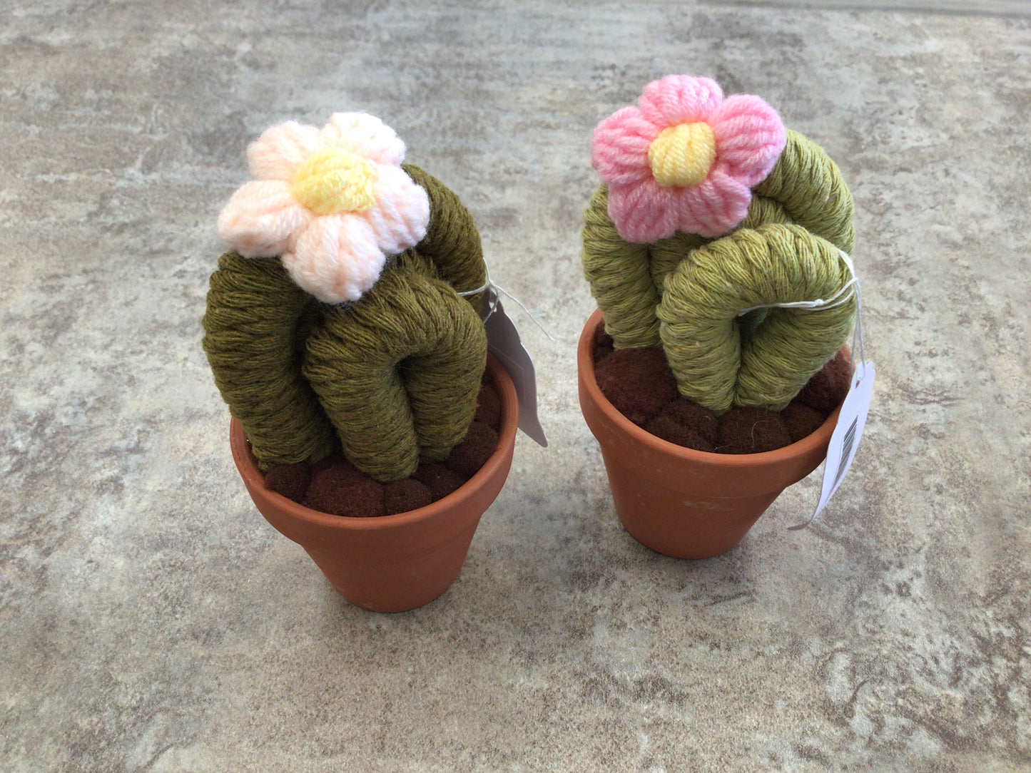 FBK-02 Small Cactus