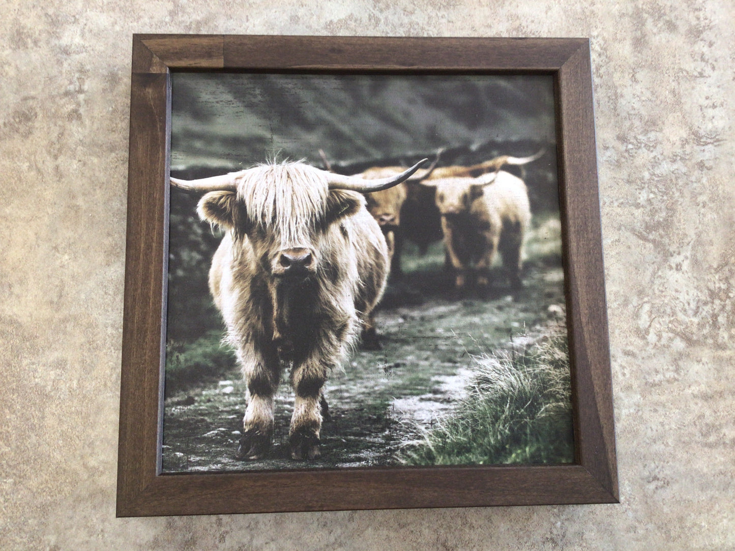 WHD - Highland Cows Sign