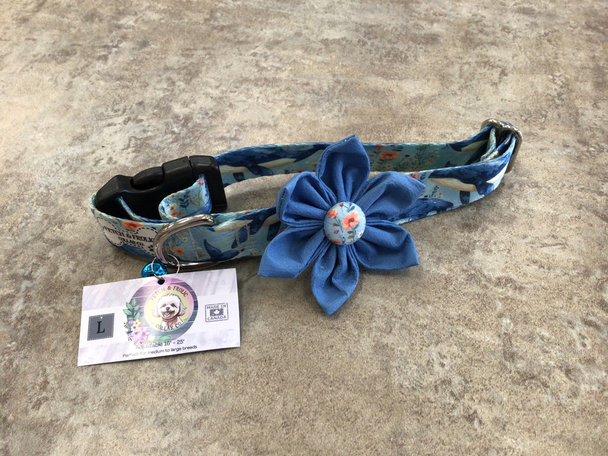 FFC-06 large collar, plastic buckle