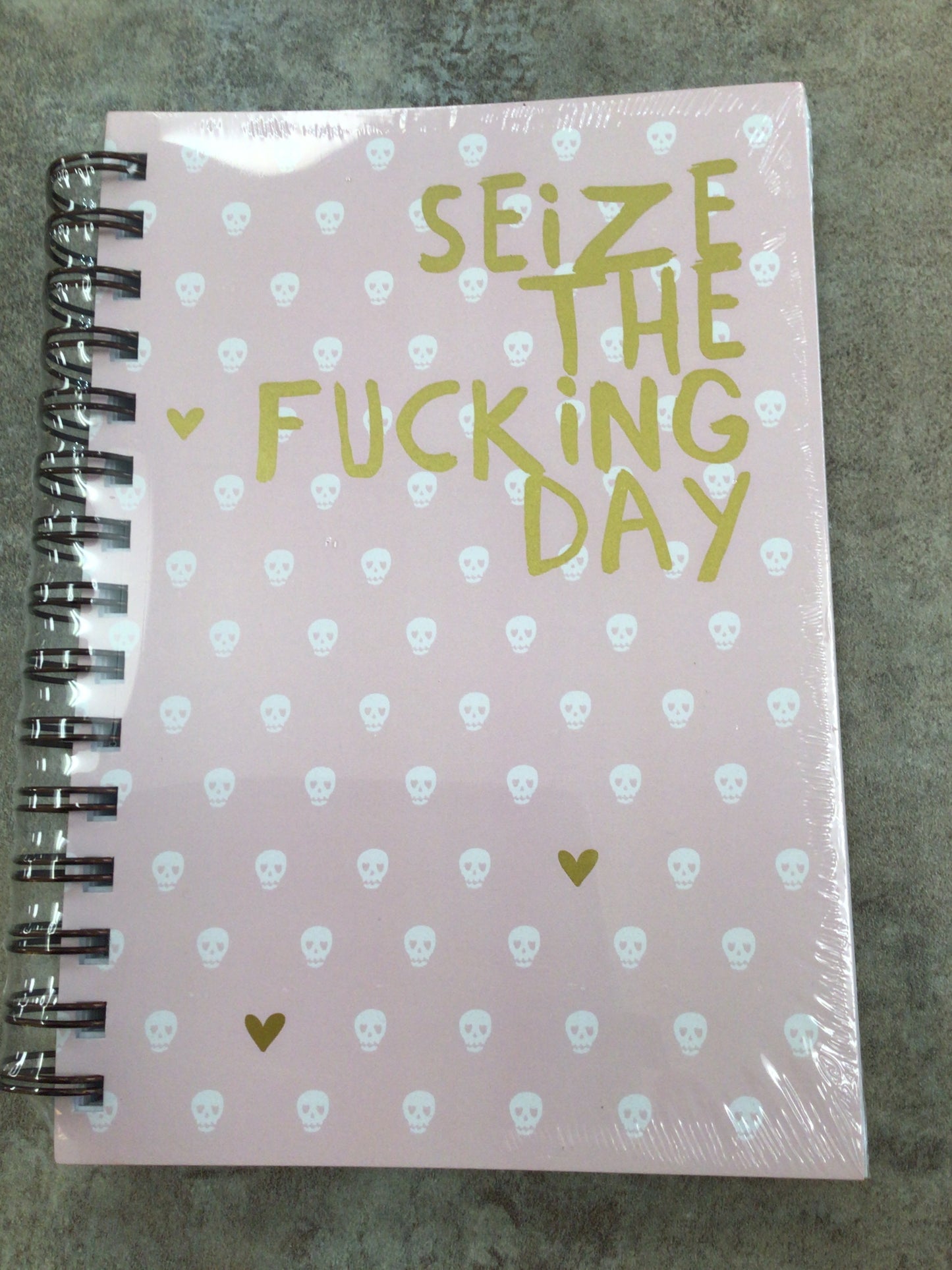 PCP0320-020 Seize the Fucking Day Notebook
