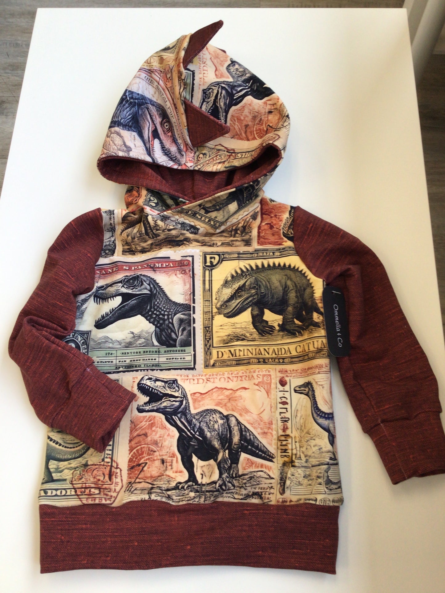 OAC - Dino Hoodie (Size 4T)