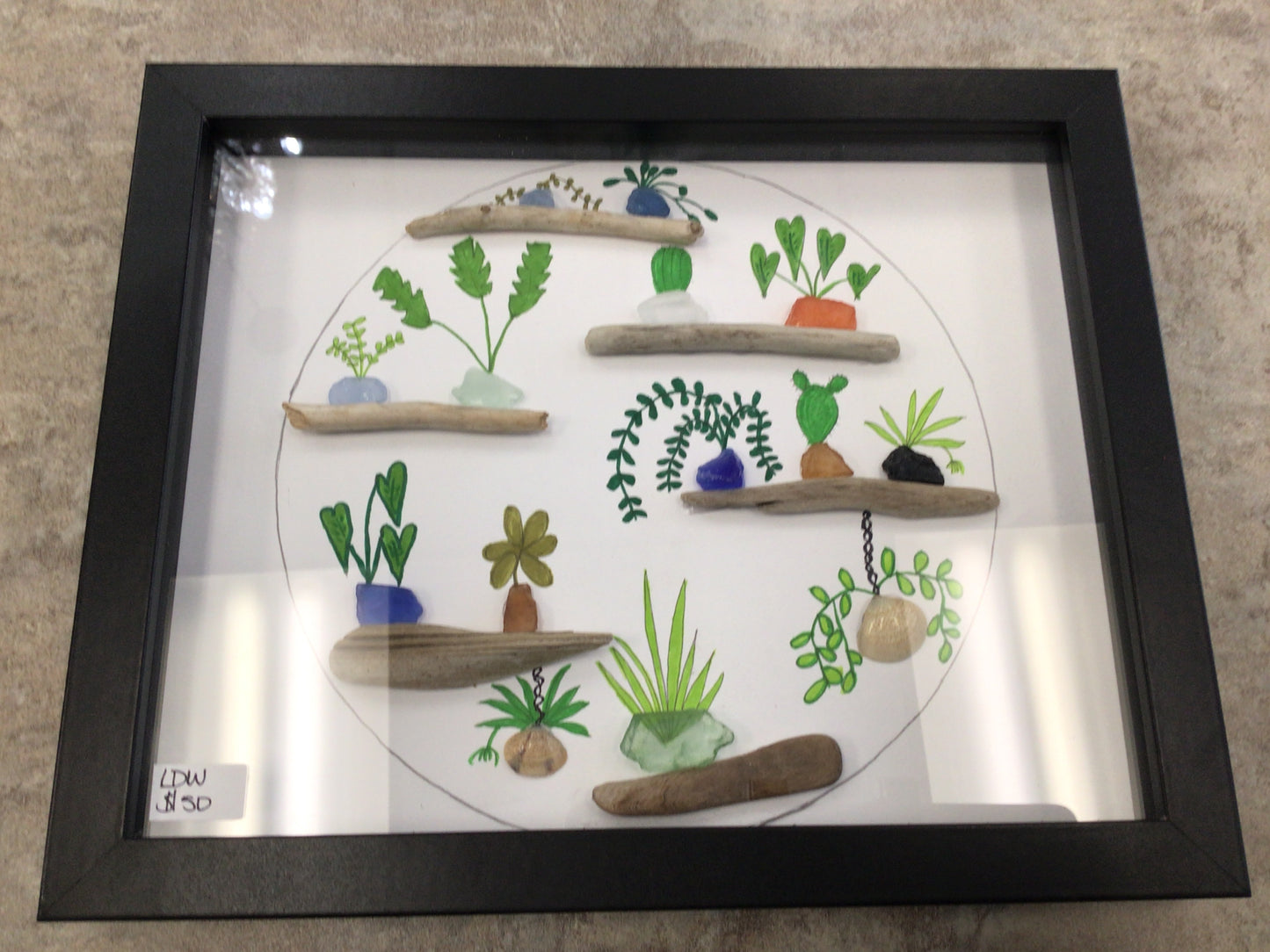 LDW-30 Plants 8x10