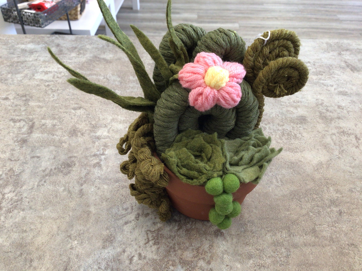 FBK-31 3.5” Succulent Bowl