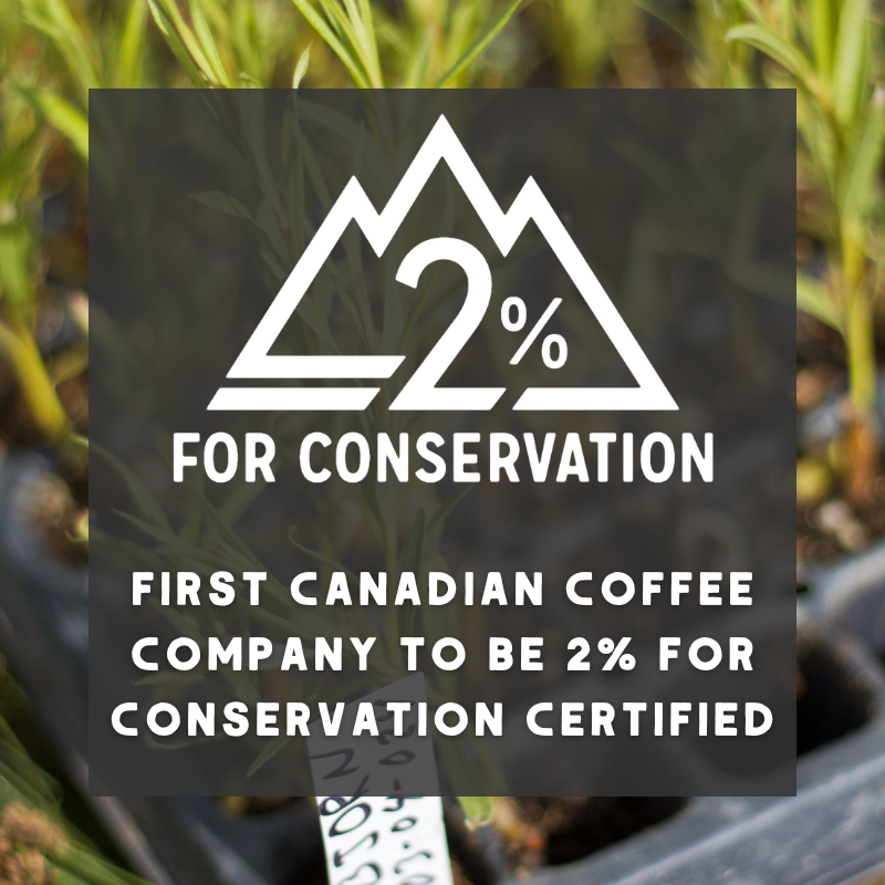 CHR - Burnt Timber - Organic Coffee (DARK)