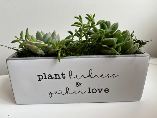 SUC - Plant Kindness Concrete Planter with Succulent