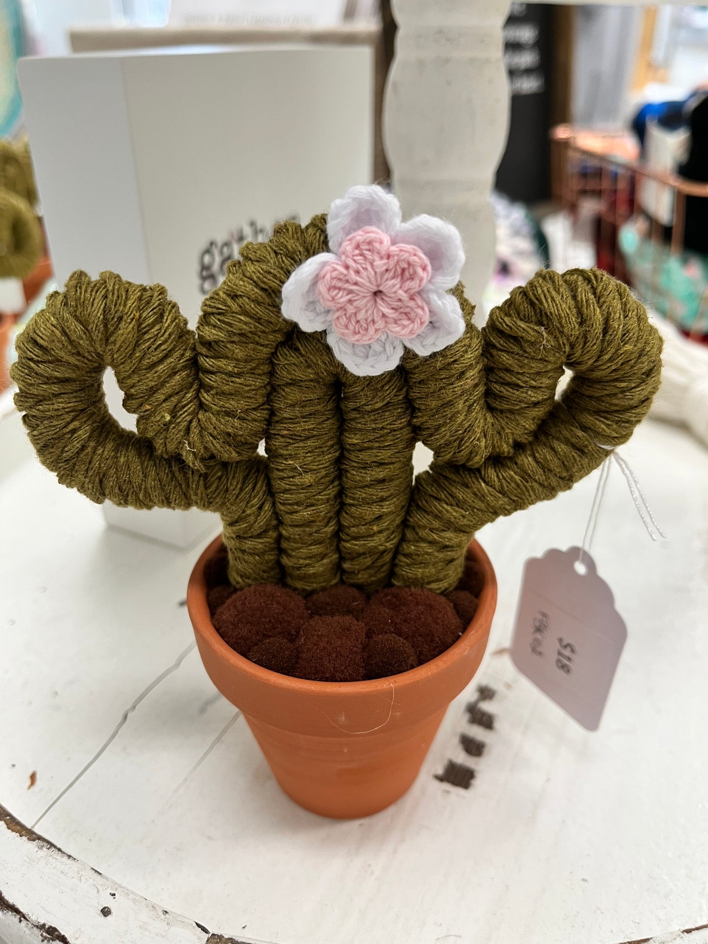 FBK-02 Small Cactus