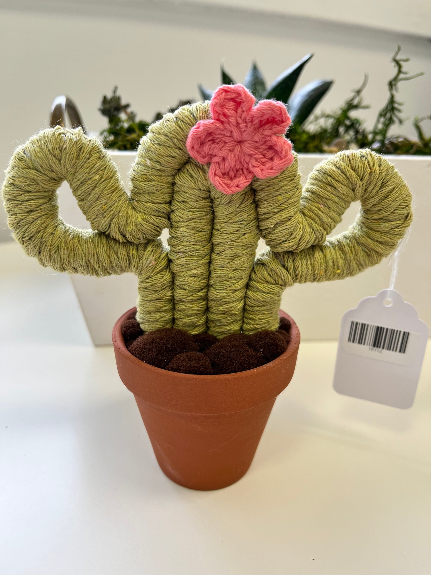 FBK-02 Small Cactus