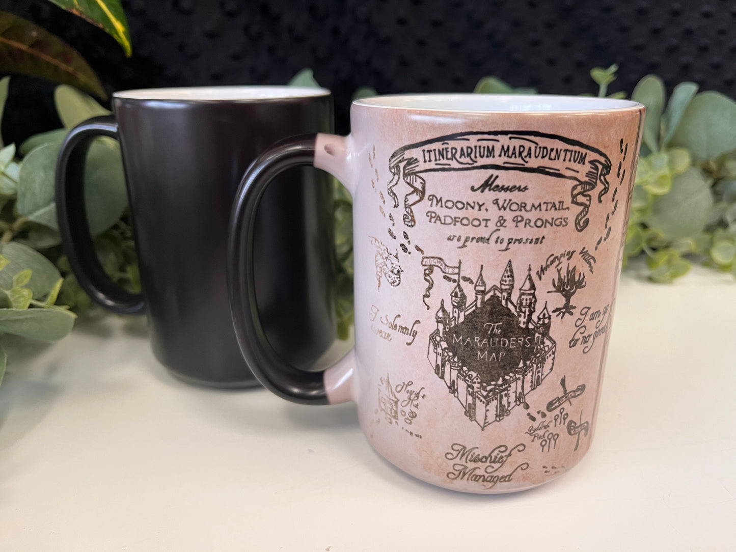 TCK - Appearing Maunderers Map Mug