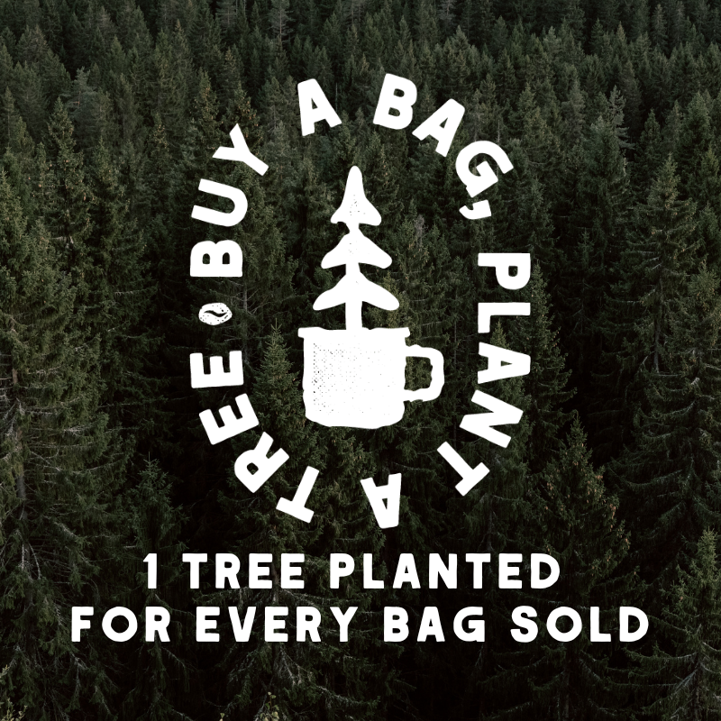 CHR - Burnt Timber - Organic Coffee (DARK)