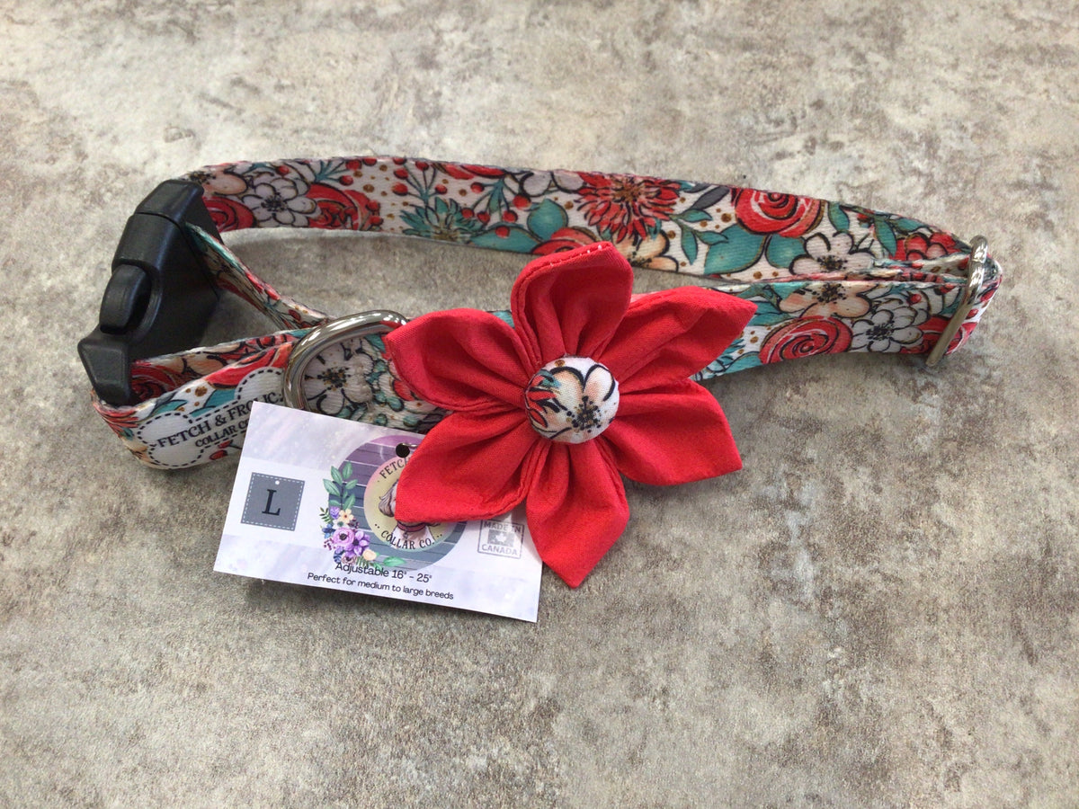 FFC-06 large collar, plastic buckle