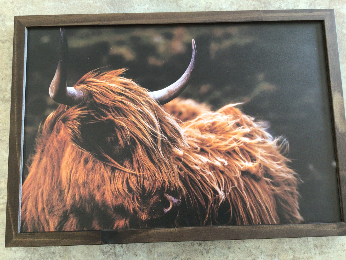 WHD - Highland Cow Face Sign