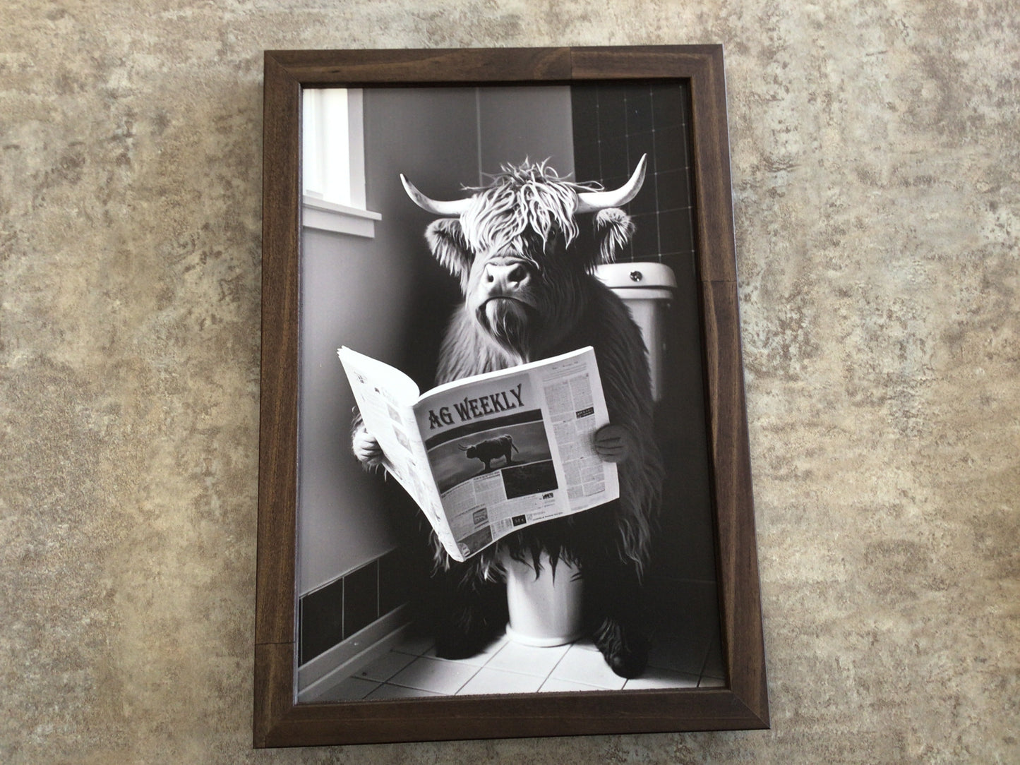 WHD - Highland Cow on a toilet