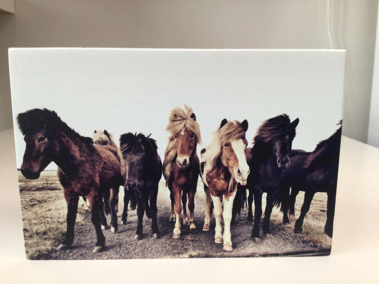WHD - Ponies - 6X4” shelf sitter
