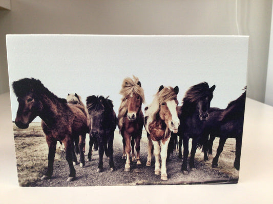 WHD - Ponies - 6X4” shelf sitter