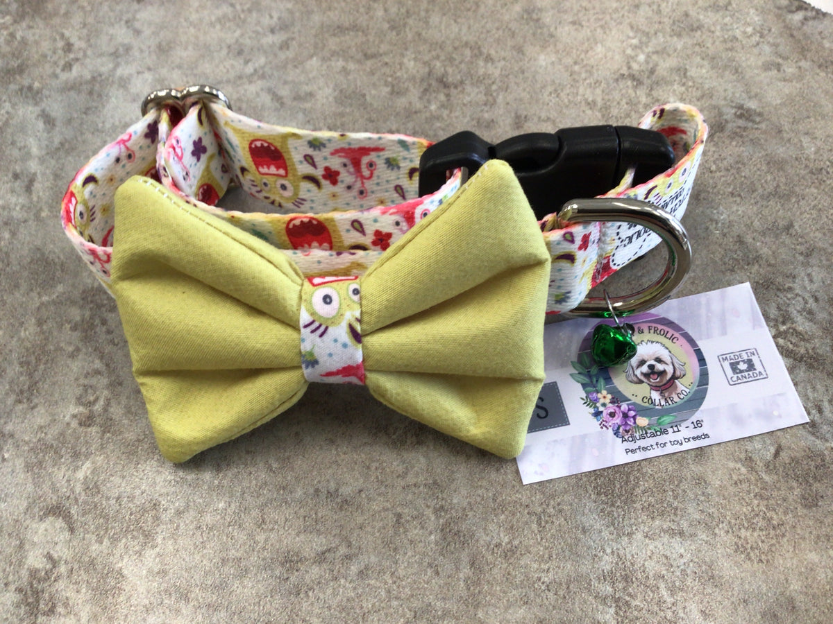 FFC-01 small collar, plastic buckle