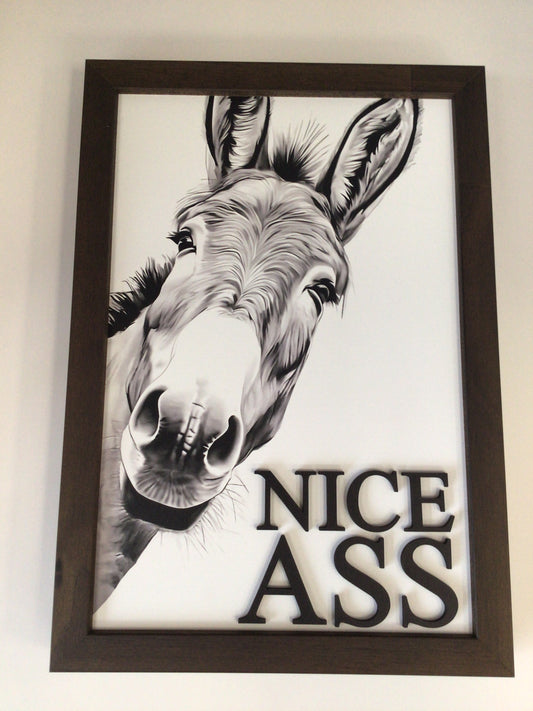 WHD - Nice Ass - 8X12” Picture