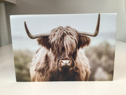 WHD - Highland Cow - 6X4” shelf sitter