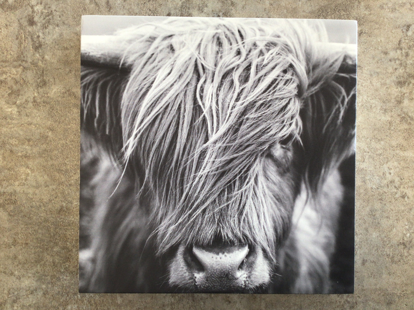 WHD - Highland Cow Face Block