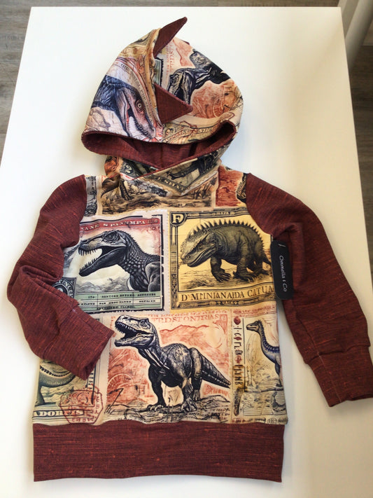 OAC - Dino Hoodie (Size 4T)