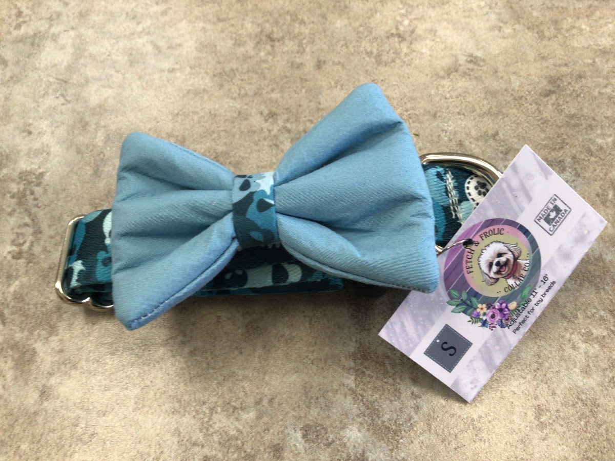 FFC-01 small collar, plastic buckle