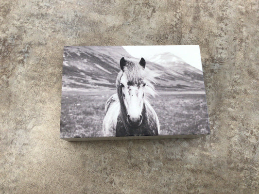 WHD Horse - Shelf Sitter