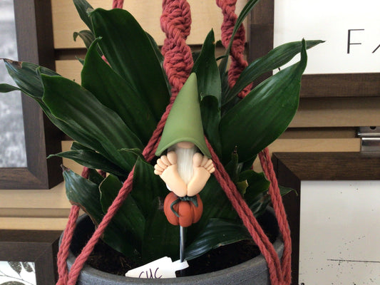CYC - 02 Gnome Plant Stake