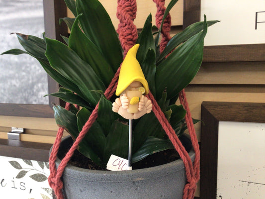 CYC -02 Gnome Plant Stake