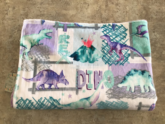 WWC - 01 Minky Blanket Dinosaurs