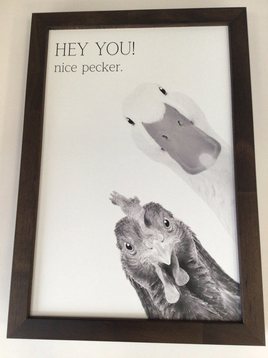 WHD - HEY YOU! nice pecker - 8X12” sign