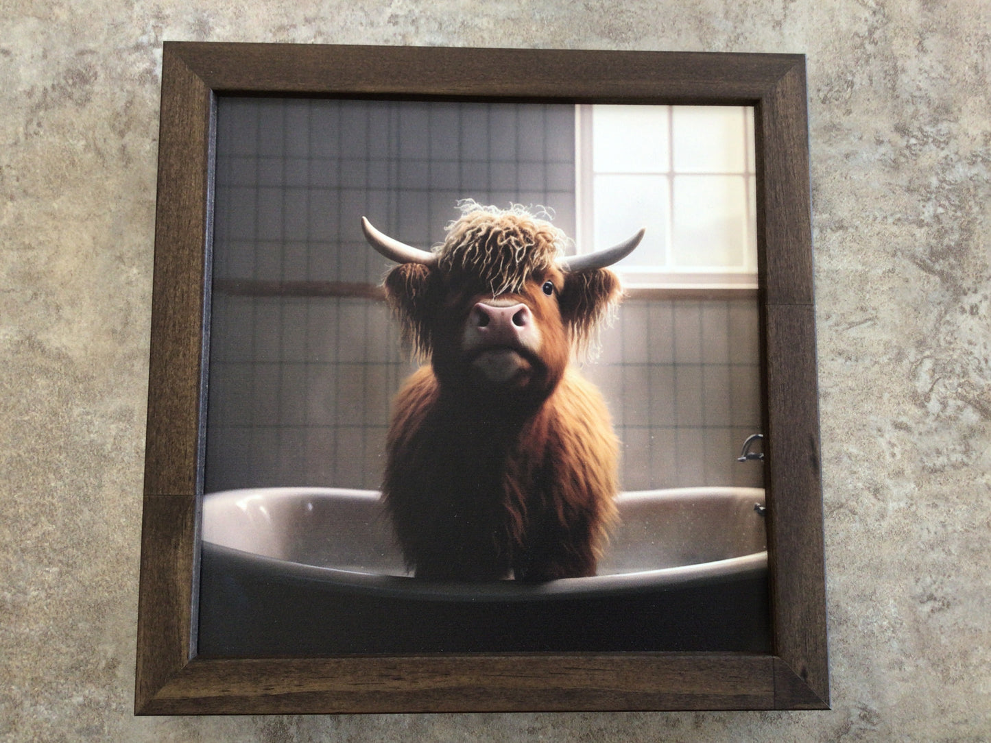 WHD - Highland Cow in a Tub