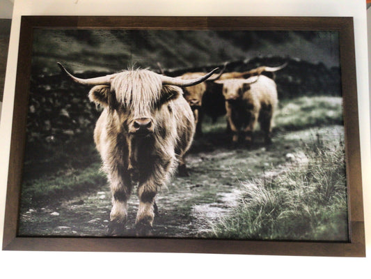 WHD - Highland Cow Trail Walk - 18X12” sign