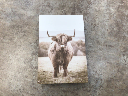 WHD Highland Cow - Shelf Sitter