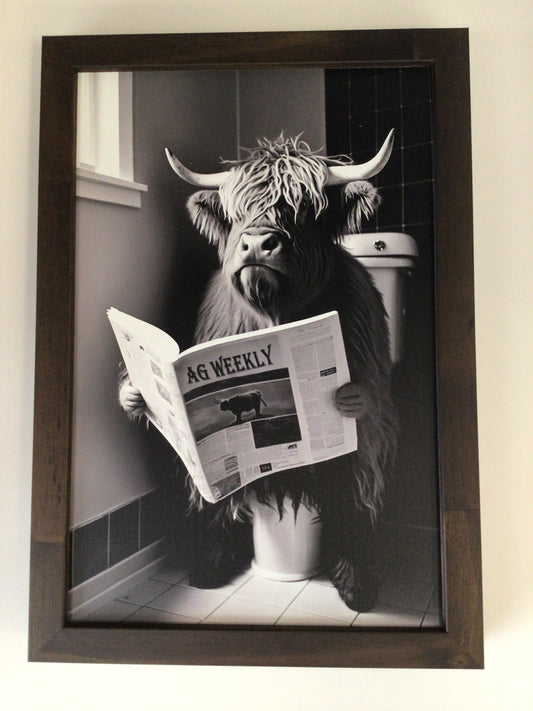 WHD - Animals on Toilet - Highland Cow - 8X12” sign