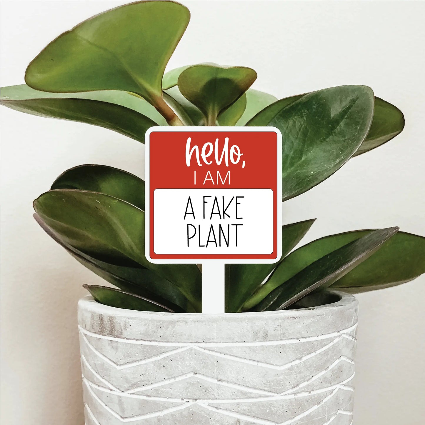 KDC - Hello, Im a fake plant - Plant Marker