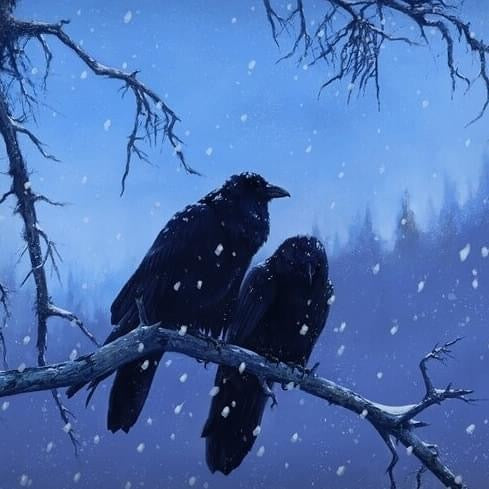 JP-14 Matted Print - Winter Ravens
