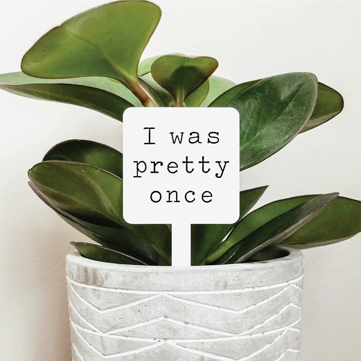 KDC - Pretty Once - Plant Marker