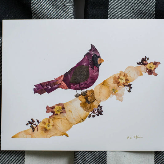 OFC - Male Cardinal (8/10”) Pressed Flower Art Print