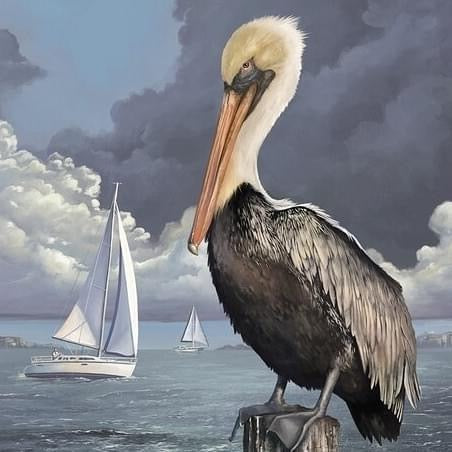 JP-12 Matted Print - Pelican