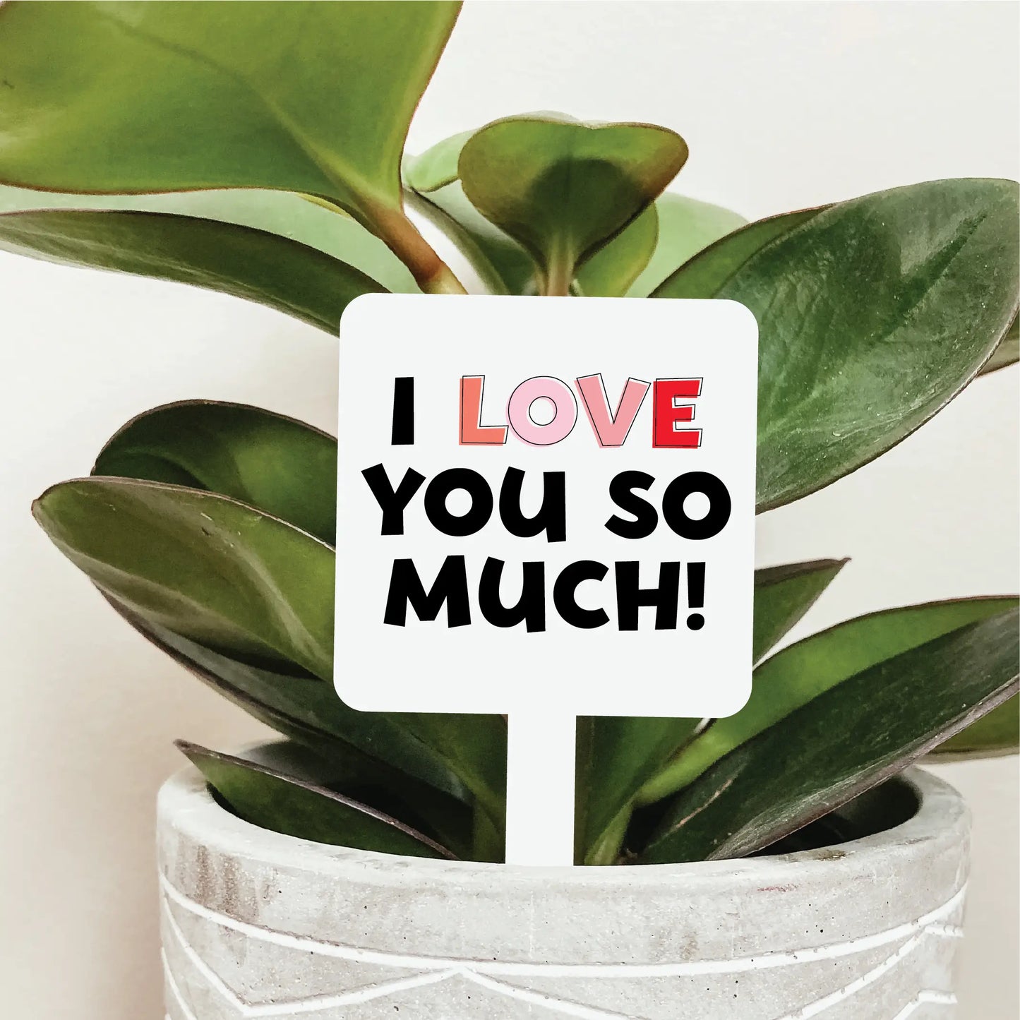 KDC - I love you so much - Plant Marker