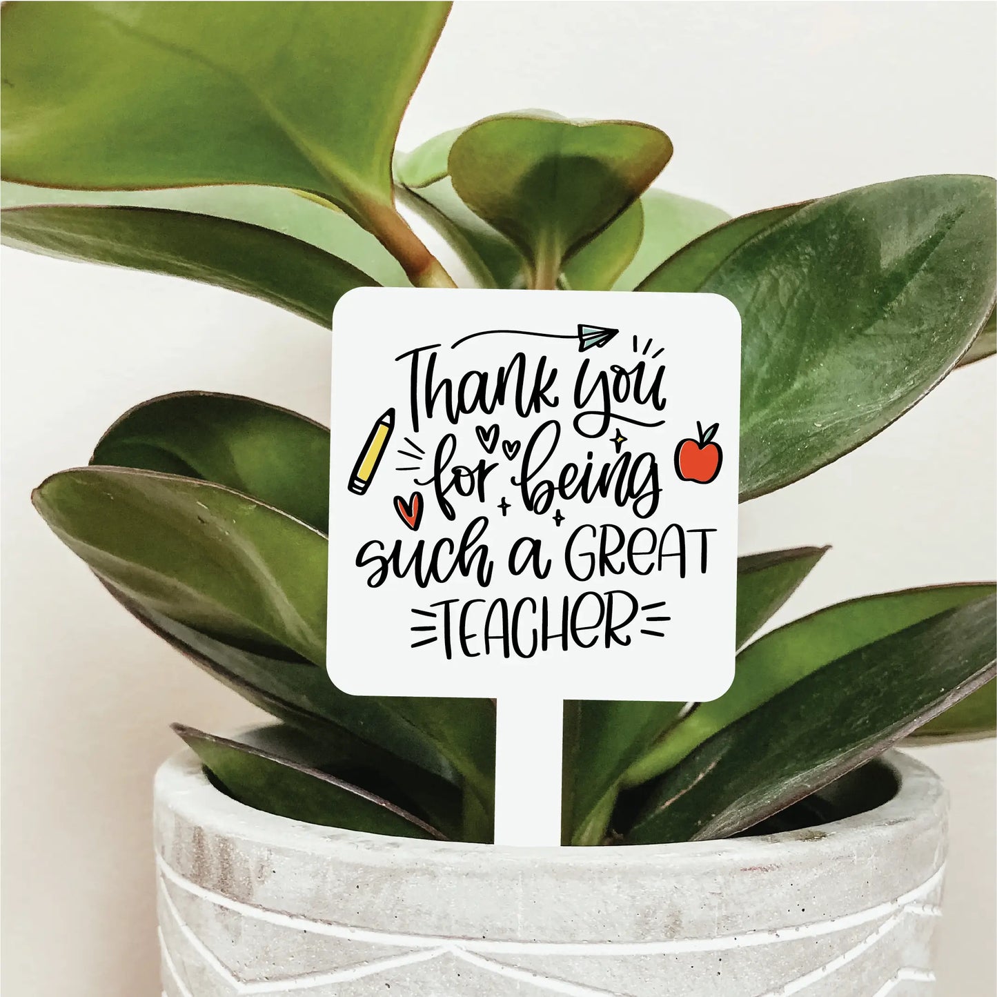 KDC - Thank you for being such a great teacher - Plant Marker