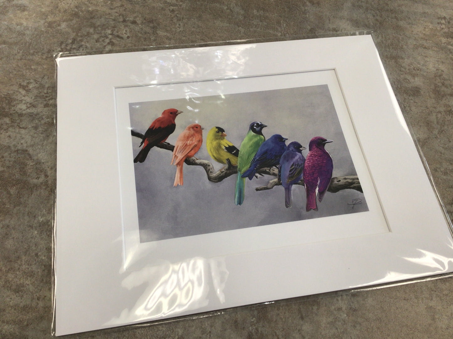 JP-07 Matted Print - Birds of All Colours